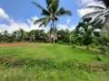 Land Block for immediate Sale in Udugampola, Gampaha