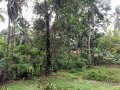 Residential Land for Sale at Nittambuwa