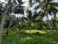 Residential Land Blocks for Sale in Weediyawatte, Gampaha.
