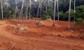 Under Offer… 3 Acres, 82 Perches Land for Sale at Mirigama