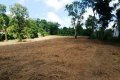 Commercial Land for Sale in Nadagamuwa, Gampaha