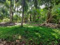 Residential Land Blocks for Sale in Lakshmi Road, Gampaha