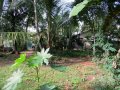 Residential Land for Sale at Lakshmi Road, Gampaha