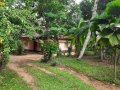 151 Perches Land with House for Sale in Wataddara, Veyangoda