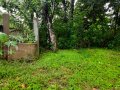 Land for Sale, Sirimal Uyana, Bandaranayakepura, Gampaha.
