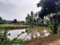 Land for Sale in Kirindiwita, Gampaha, bordering to Oya.