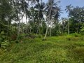 Land Block for immediate Sale in Udugampola, Gampaha.