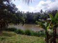 Beautiful Scenic Land for Sale at Nalla, Giriulla, to bordering “Ma Oya River”.