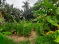24 Perches Good Shape Land for Sale in Makewita, Gampaha.