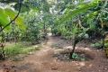 Land for Sale in Indigolla, Gampaha.