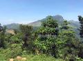 Scenic Land for Sale in New Town, Passara, Badulla.