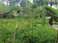 22 Perches of Land available for sale in Nittambuwa Suburban.