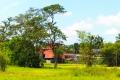 115 Perches Paddy Field facing Land with House for Sale in Giriulla.
