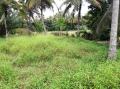 Paddy Field Facing Land Property for Sale in Hawaniwala
