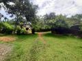 15 Perches Lands for Sale at Horagolla, Ganemulla.