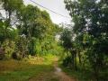 Valuable Commercial 1 Acre Land for sale between Batapola, Ambalangoda.
