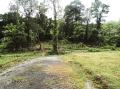280Perches Land for Sale at Seethadola, Horana.