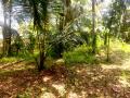 A valuable piece of land is available for sale in Yagodamulla, Kotugoda.