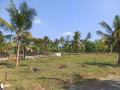 10 Perches Bare Land for Sale at Belummahara, Gampaha.