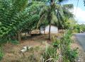 Land for Commercial, Housing, Agricultural purposes are for sale in Baddegama