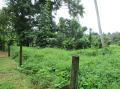 Paddy Field Facing Land for Sale in Udugampola, Gampaha.