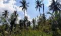 5 Acres Commercial Land for Sale in Nalla, Mirigama.