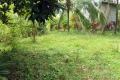 20 Perches Residential Land for Sale in Udupila, Delgoda.