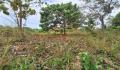 40 Perches Land for sale in Sapugasthanna Road, Kalagedihena.