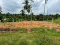 26 Perches Land for sale in Kahatana, Henegama.