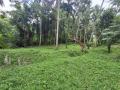 1 Acres of Land for Urgent Sale in Ahugammana, Delgoda