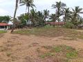 Prime Beachfront Land for Sale – Pitipana, Negombo