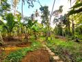 41 Perches of Land for Sale in Udugampola, Gampaha.