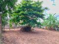 12 Perches Highly Residential Land for Sale in Kirillawala, Kadawatha.