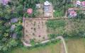 Valuable Residential Land Blocks Available for Sale in Weliweriya