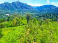 Invest in Sri Lanka’s Premier Agribusiness Badulla – Mahiyangana road.