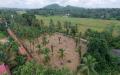Valuable Residential Land Blocks Available for Sale in Weliweriya.