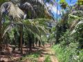 A prime residential land for sale in Naula (Arangala), Matale.