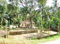 85 Perches of Land with Coconut Plantation and Green Surroundings for Sale
