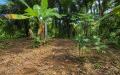 Residential land for sale in the Ambaraluwa-Weliweriya, close both Kandy and New Kandy road