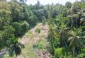 167 Perches Valuable Land for Sale in Katunayake – Ideal for Hotel or Development Project