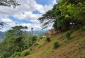 SCENIC 60 PERCHES LAND FOR SALE – PRIMROSE HILL, KANDY.