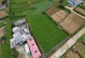 36 Perches of Flat Land for Sale in Meepilimana, Nuwara Eliya.